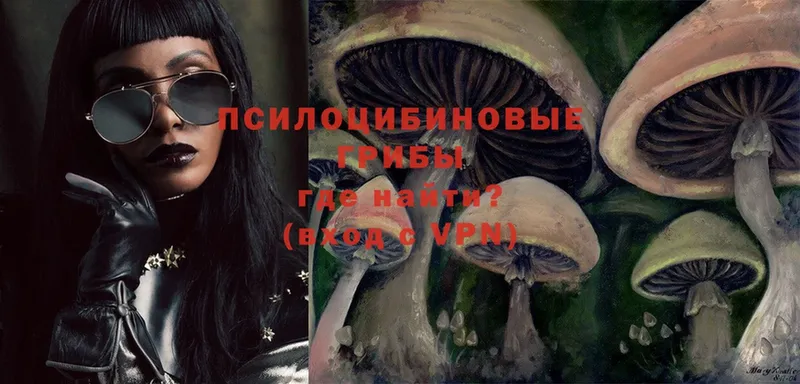 Псилоцибиновые грибы Psilocybe  Никольск 